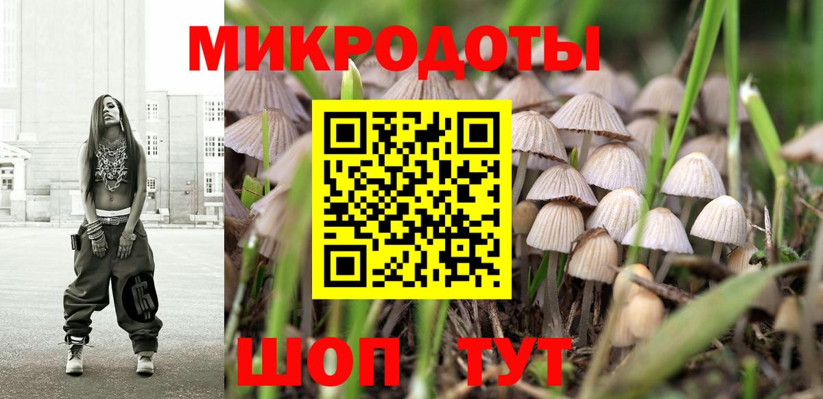 Ефремов  Псилоцибиновые грибы Magic Shrooms  наркотики  Вход с VPN 