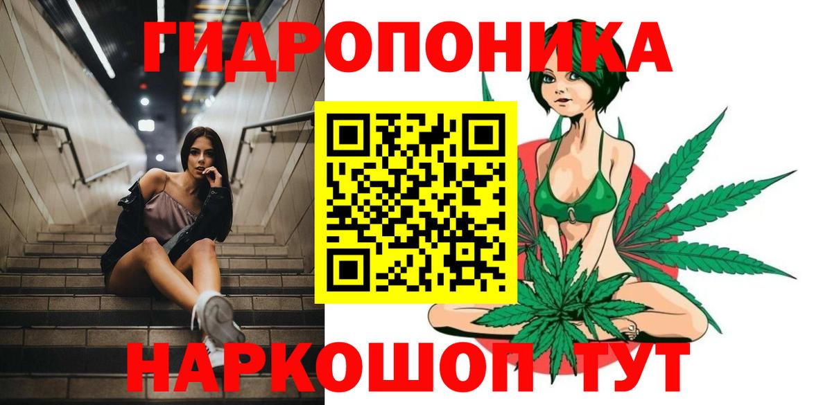 Бошки марихуана тримм  Бошки марихуана план  Конопля индика  Ефремов  Вход с VPN 